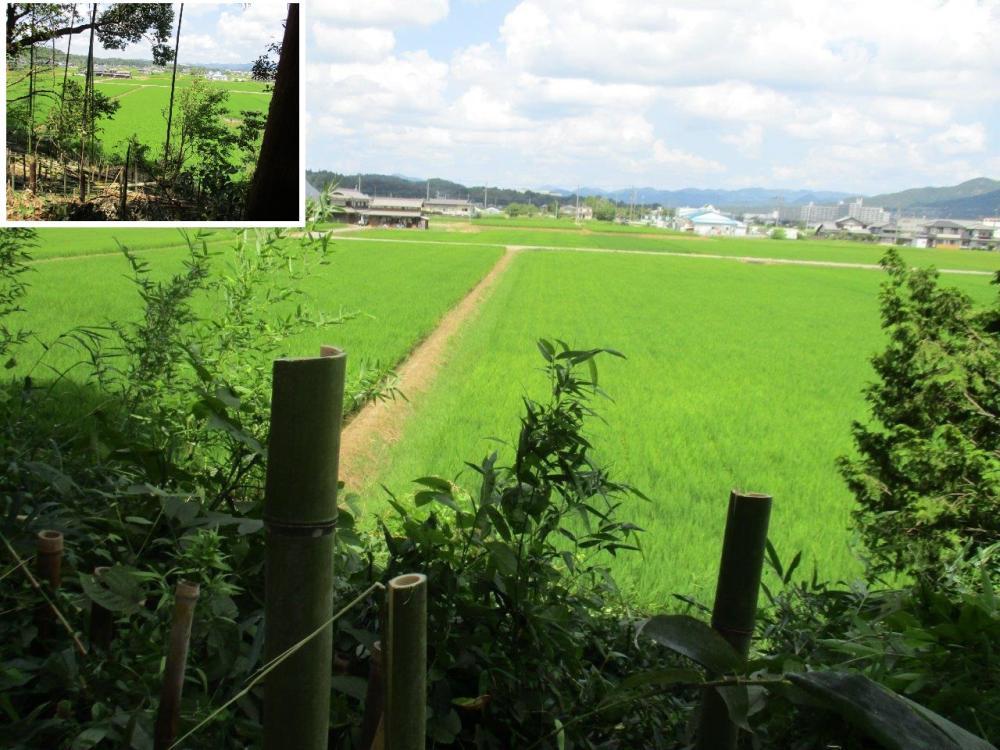 下深田風景