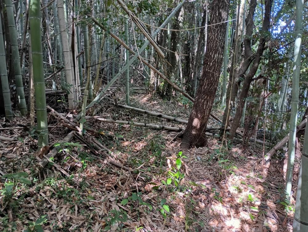 m-IMG_20251028_132651