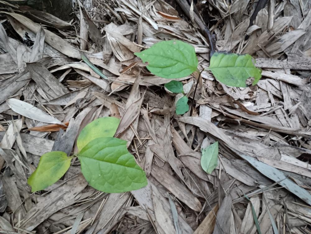 m-IMG_20251118_115014