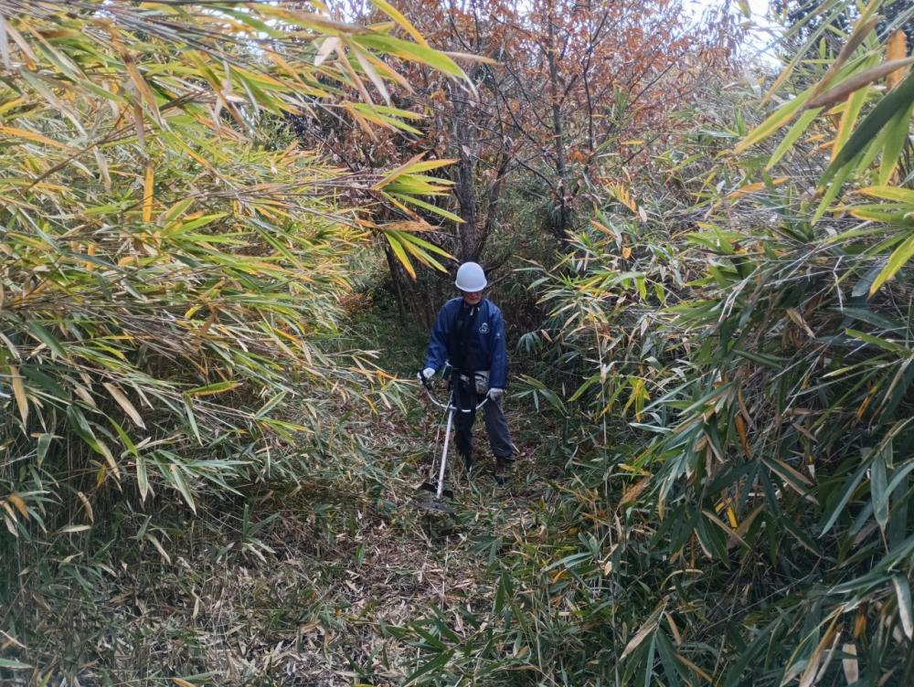 m-IMG_20251202_105024