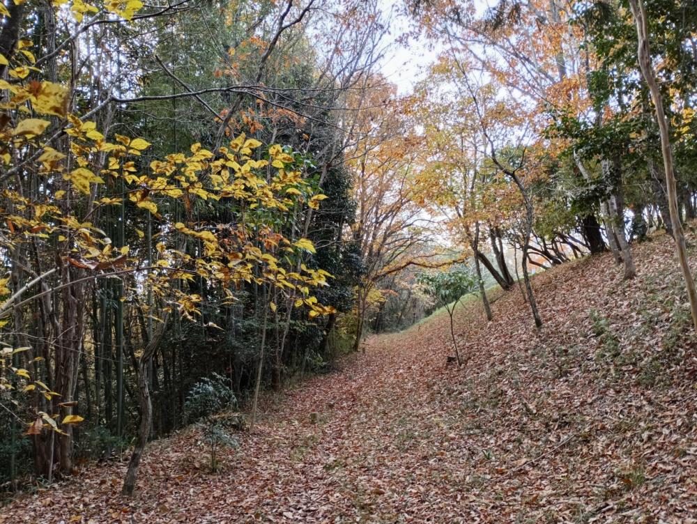 m-IMG_20251202_134013