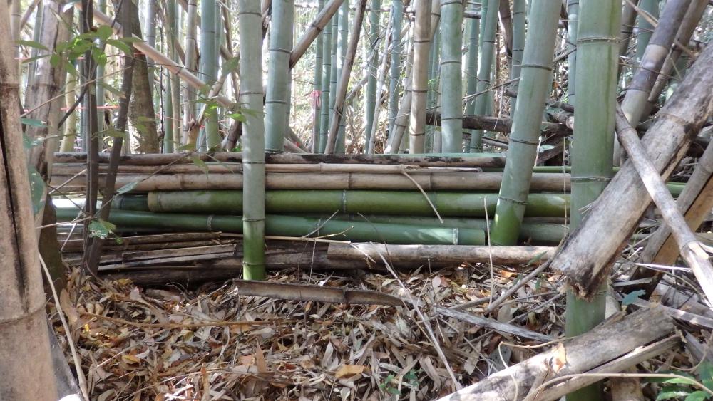 PC160027_copy_3281x1846