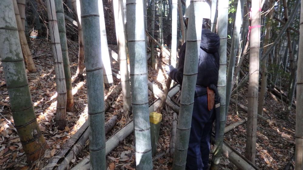 PC160019_copy_3465x1949