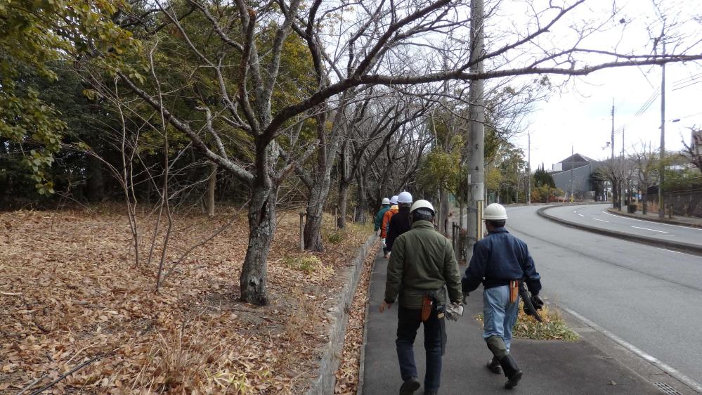 P2030004_copy_2696x1516