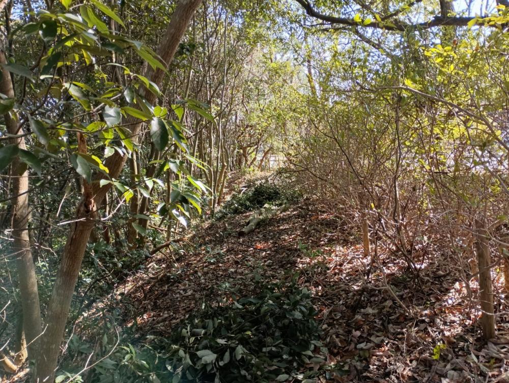 m-IMG_20260217_113050_1