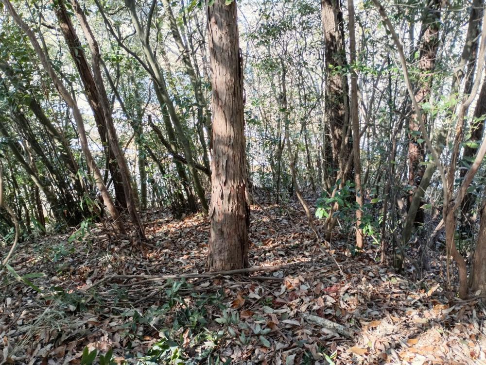 m-IMG_20260217_130033