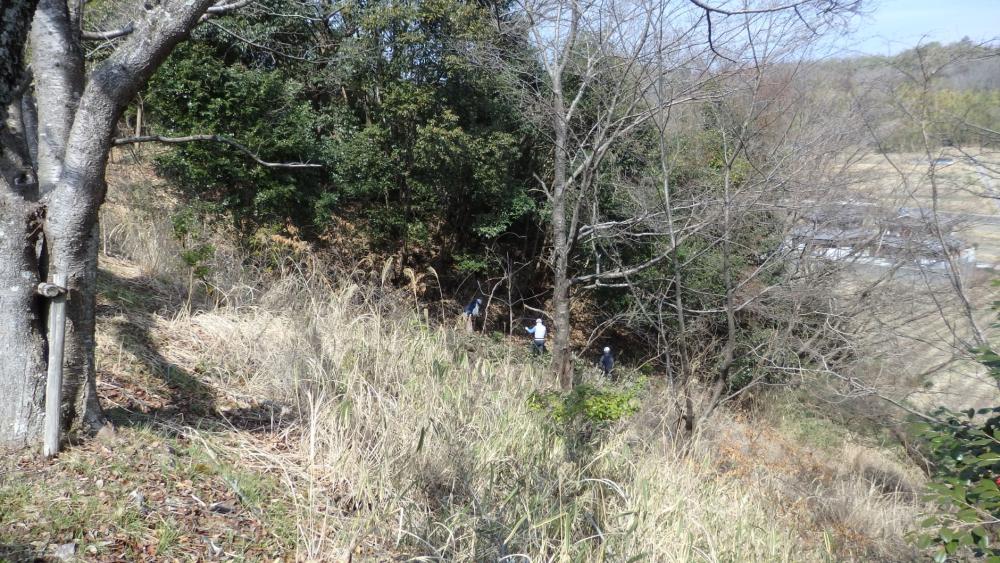 P3240055_copy_1880x1058