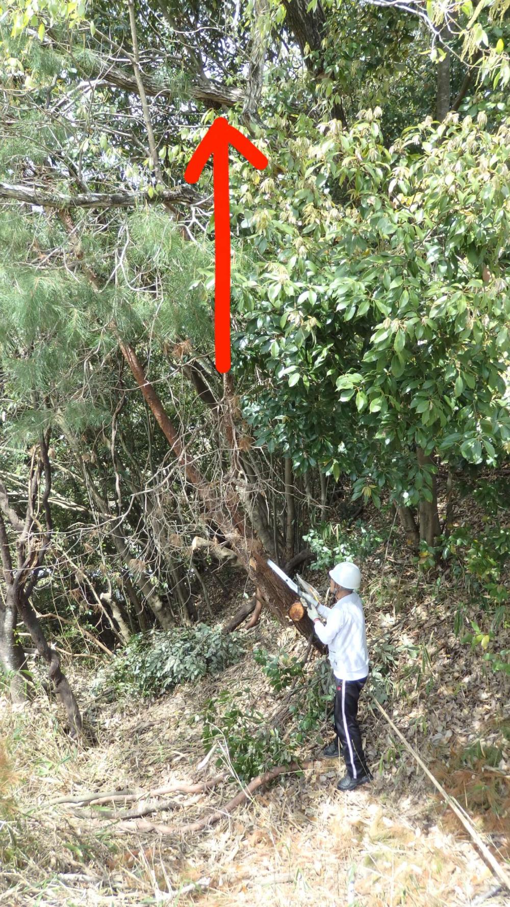 InShot_20260414_160935251_copy_1389x2470