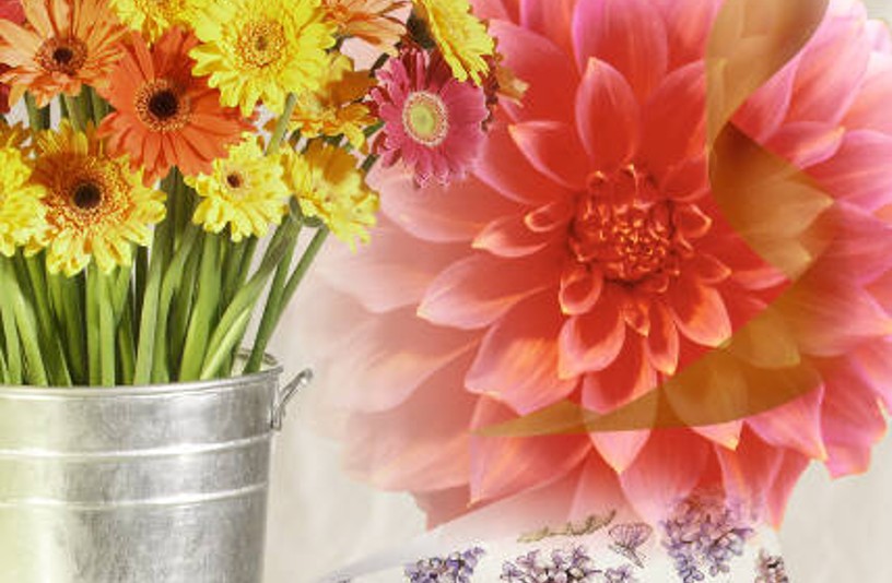 フラワーエコー募集チラシjpeg1752202468510-9e0db7f4-cc1f-4263-867e-744c7b4a8a4d_1