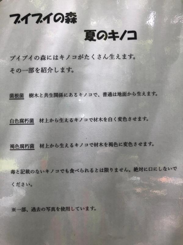 キノコ