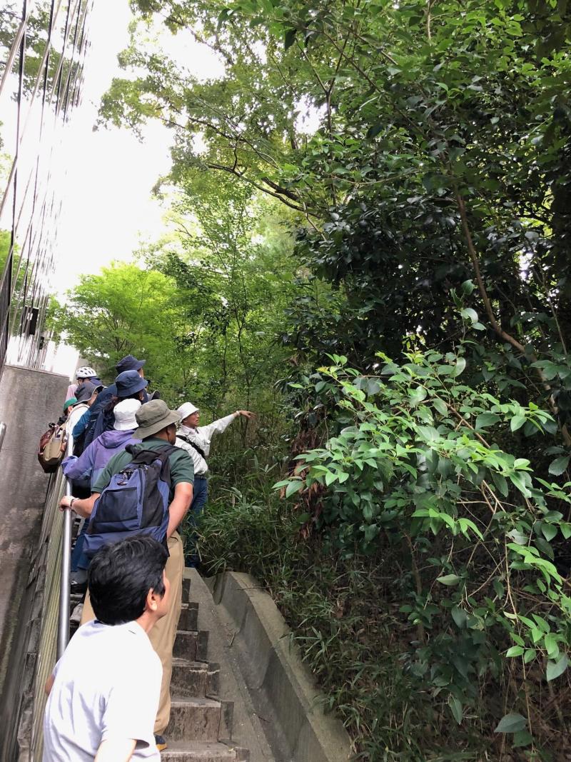 監察